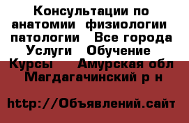 Консультации по анатомии, физиологии, патологии - Все города Услуги » Обучение. Курсы   . Амурская обл.,Магдагачинский р-н